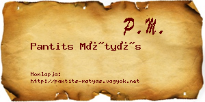 Pantits Mátyás névjegykártya